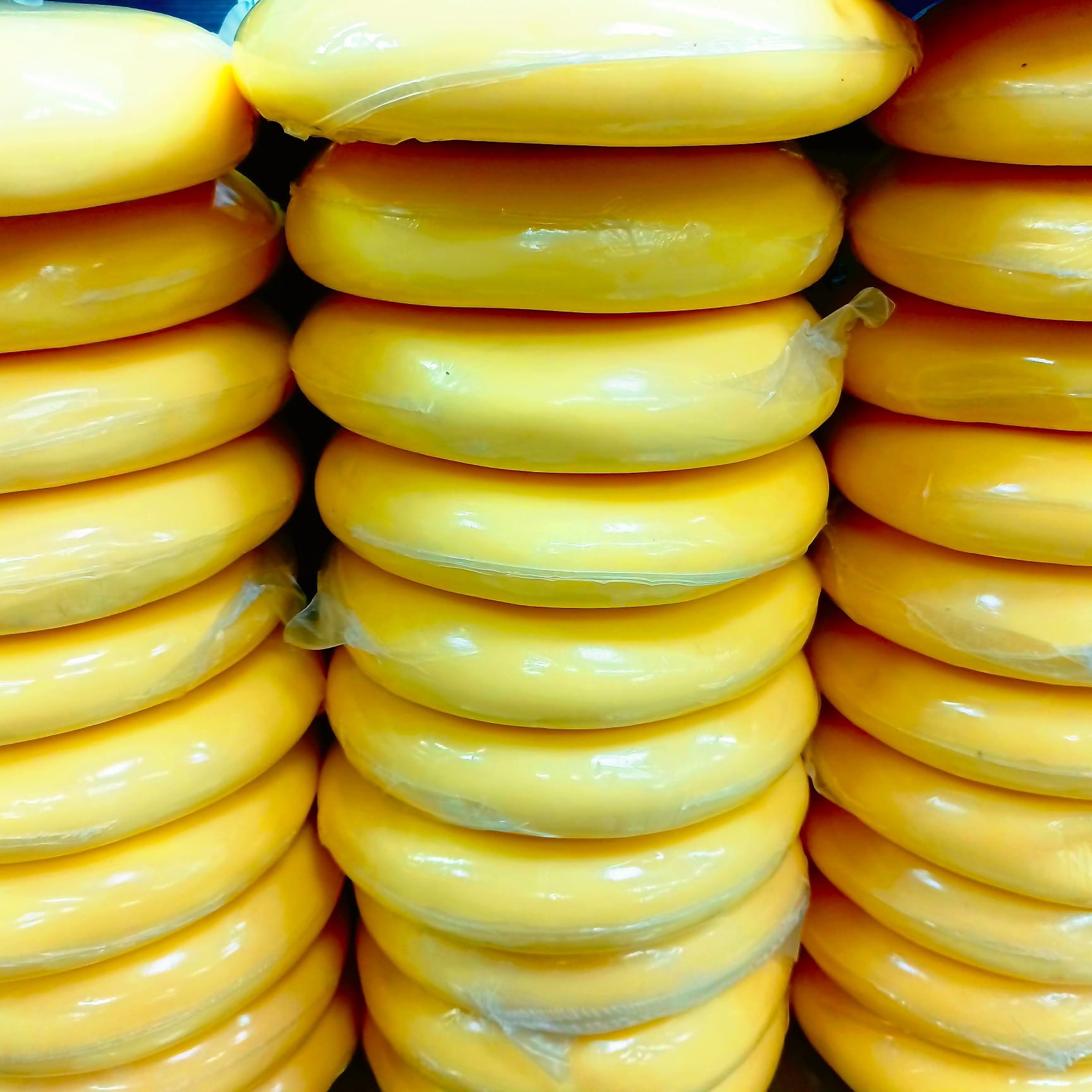 IĞDIR YAYLASIN TAM YAĞLI TAZE GÖBEK KAŞAR PEYNİRİ 1 KG