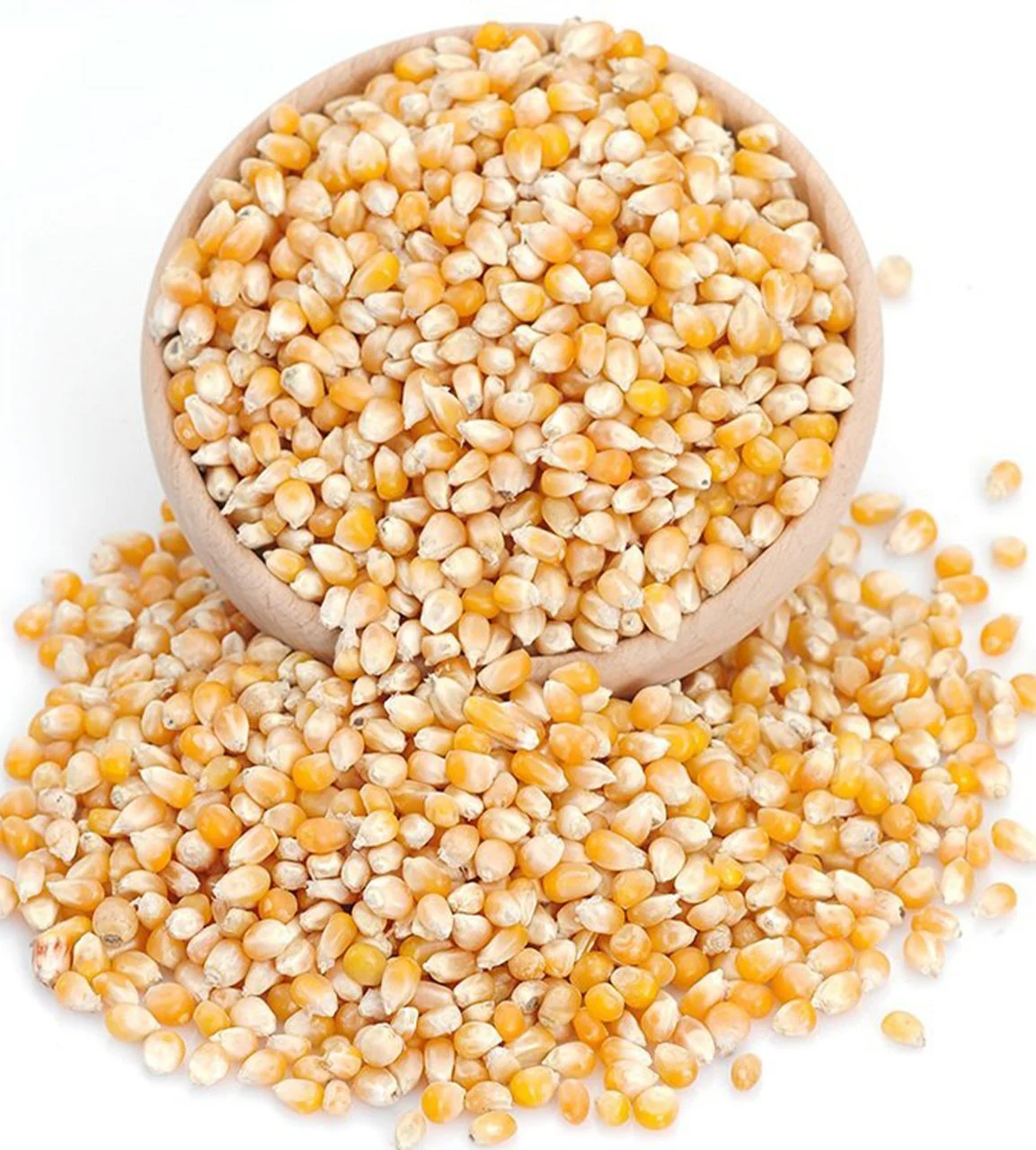 CİN MISIR PATLATMALIK ANTALYA 1 KG 